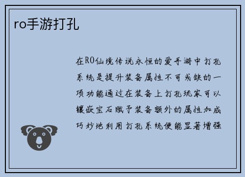 ro手游打孔